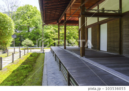 南禅寺天授庵 方丈前庭 新緑の季節(京都市左京区南禅寺福地町) 南禅寺天授庵 方丈前庭 新緑の季節(京都市左京区南禅寺福地町) 103536055