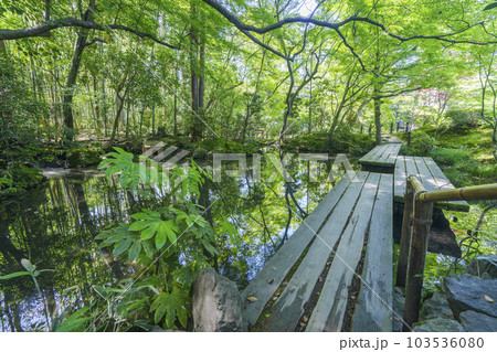 南禅寺天授庵　書院南庭　橋と青もみじのリフレクション（京都市左京区南禅寺福地町） 103536080