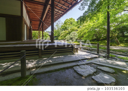 南禅寺天授庵　方丈前庭　新緑の季節（京都市左京区南禅寺福地町） 103536103