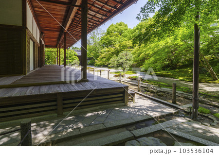 南禅寺天授庵　方丈前庭　新緑の季節（京都市左京区南禅寺福地町） 103536104