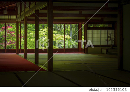 南禅寺天授庵の庫裏から見える青葉（京都市左京区南禅寺福地町） 103536108