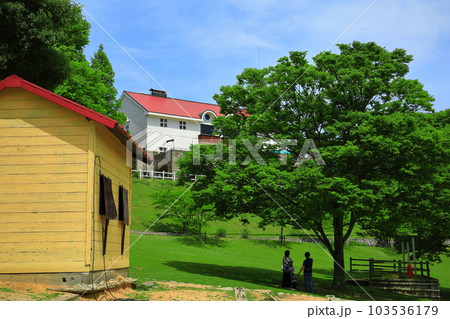 【兵庫県】新緑の神戸市立六甲山牧場（牧場夢工房） 103536179