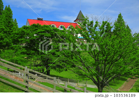 【兵庫県】新緑の神戸市立六甲山牧場（牧場夢工房） 103536189