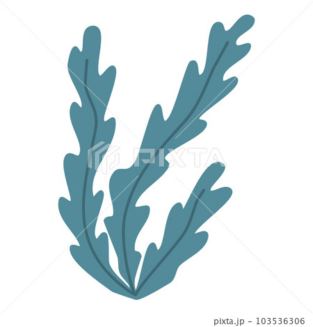Blue green sea and aquarium water plant or seaweed, underwater planting, vector 103536306