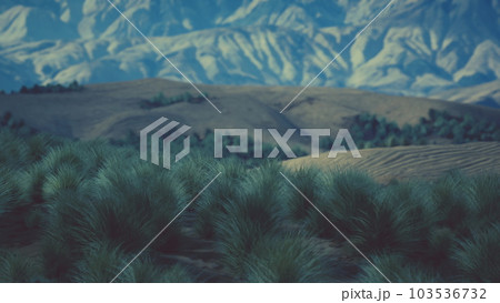 Bush in semi desert large wasteland 103536732
