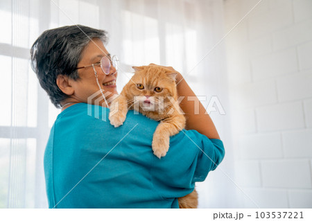 Asian senior woman hold on shoulder and pat orange cat also stand in front of glass window 103537221