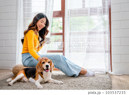 Young Asian girl sit on seat cushion also hold cup of tea and enjoy to play with beagle dog in front 103537235