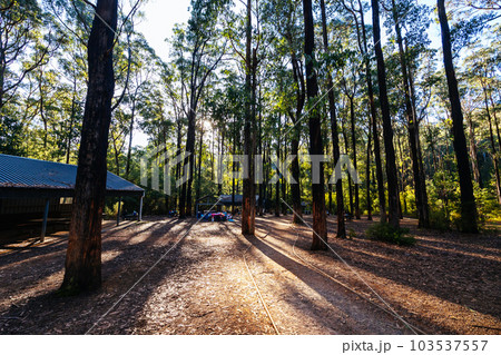 Masons Falls Picnic Area in Melbourne Australia Masons Falls Picnic Area in Melbourne Australia 103537557