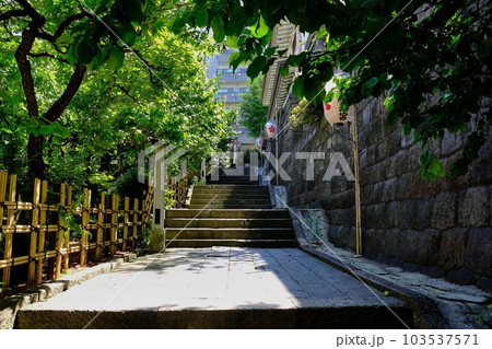 湯島天満宮　女坂 103537571