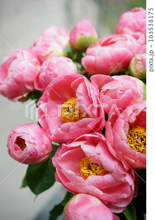A bouquet of pink peonies in women's hands. Flower delivery. A beautiful bouquet of flowers as a gift for a holiday. 103538175