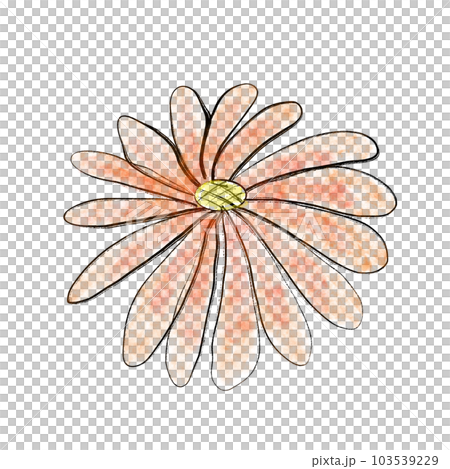 Red daisy 103539229