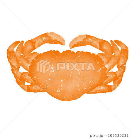 Boiled crab 103539231