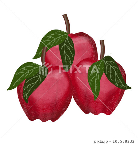 Apples 103539232