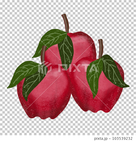 Apples 103539232