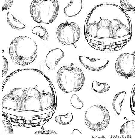 Hand drawn ink apple fruits in basket, ripe, full and slices monochrome vector, detailed outline. Seamless pattern. Isolated on white background. Design for wall art, wedding, print, fabric, card. Hand drawn ink apple fruits in basket, ripe, full and slices monochrome vector, detailed outline. Seamless pattern. Isolated on white background. Design for wall art, wedding, print, fabric, card. 103539581
