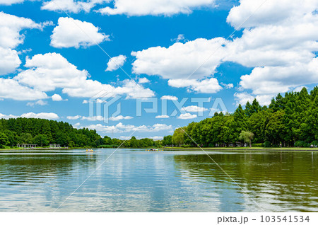 東京都 青空が広がる水元公園の水辺ゾーン 東京都 青空が広がる水元公園の水辺ゾーン 103541534