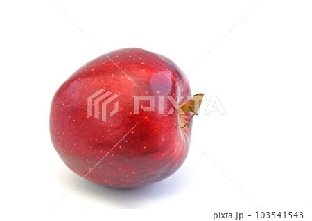 ニュージーランド産りんご　PRINCE (プリンス) 103541543