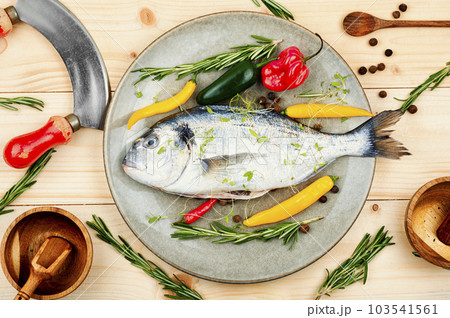 Raw sea bream or dorada fish 103541561