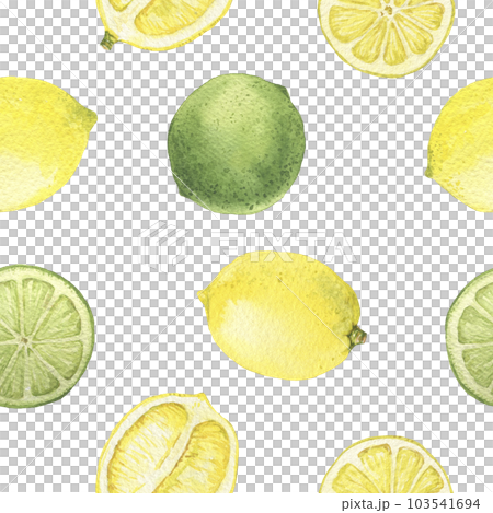 Lemon and lime watercolor illustration. Seamless pattern. Sliced lemons. 103541694