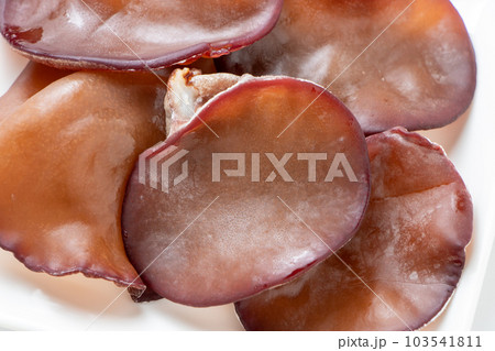 生きくらげ(アラゲキクラゲ)。 103541811