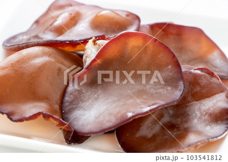 生きくらげ(アラゲキクラゲ)。 103541812