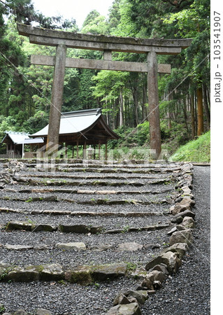 ひっそりと佇む氏神様への石段 ひっそりと佇む氏神様への石段 103541907
