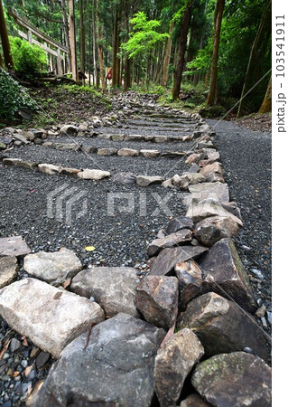 ひっそりと佇む氏神様への石段 ひっそりと佇む氏神様への石段 103541911