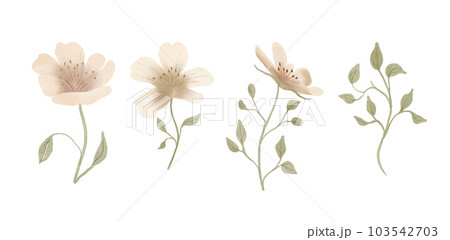 Blooming tree flowers. Spring floral botanical watercolor flower. 103542703