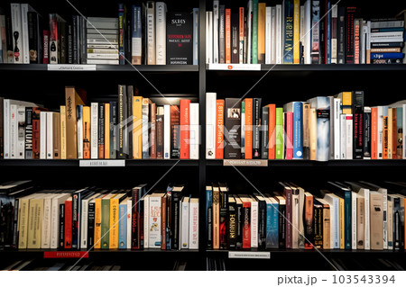 many books on shelf - full-frame view, neural network ai generated many books on shelf - full-frame view, neural network ai generated 103543394