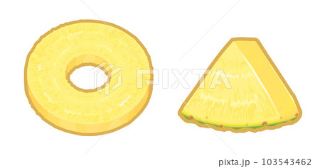 カットしたパイナップルのイラスト 103543462
