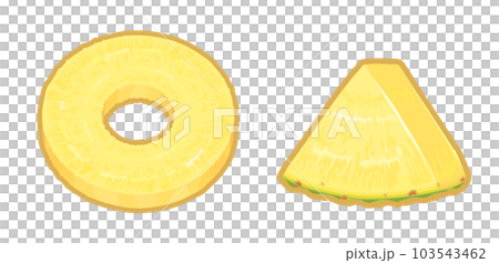 カットしたパイナップルのイラスト 103543462