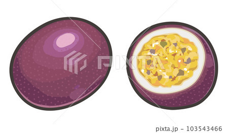 パッションフルーツのイラスト 103543466