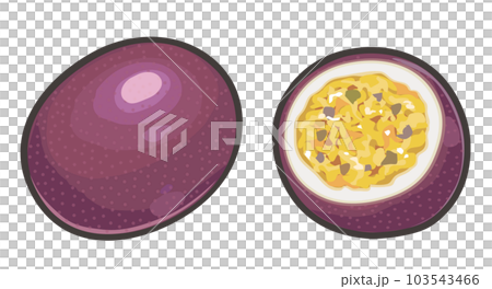 百香果的插圖 103543466