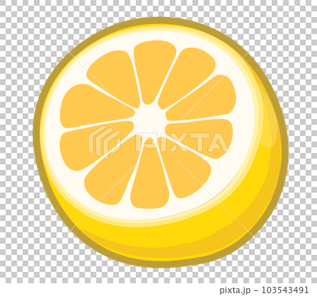 切檸檬的插圖 切檸檬的插圖 103543491