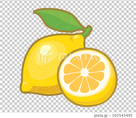レモンのイラスト レモンのイラスト 103543495