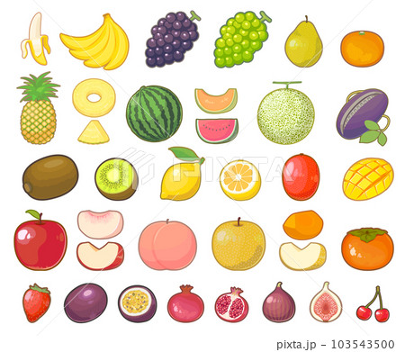 果物のまとめイラスト 103543500