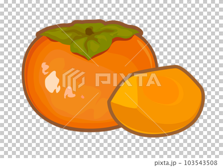 柿のイラスト 柿のイラスト 103543508