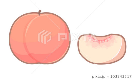 桃のイラスト 桃のイラスト 103543517