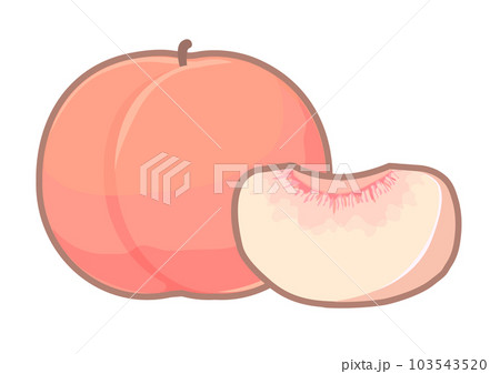 桃のイラスト 桃のイラスト 103543520