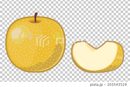 梨のイラスト 103543529