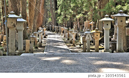 高野山奥の院に続く参道（和歌山県伊都郡高野町）動画あり 103543561