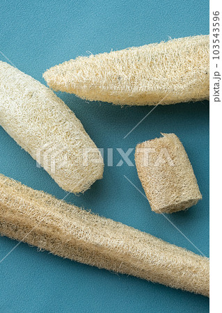 Various loofah sponges reusable skin care tools for bath. Zero waste home concept. 103543596