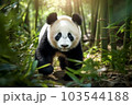 竹林を歩くジャイアントパンダ 103544188