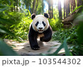 笹林を歩くジャイアントパンダの子供 103544302