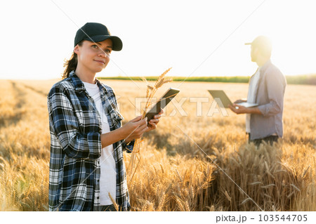 Couple of farmers examines the field of cereals 103544705