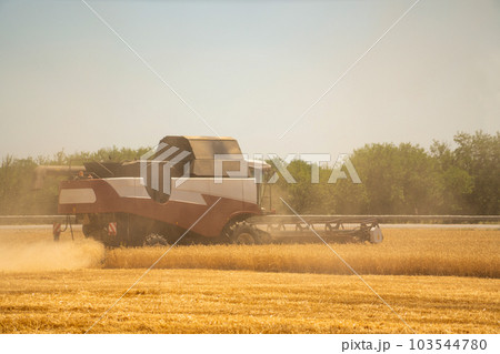 Combine harvester harvests wheat 103544780