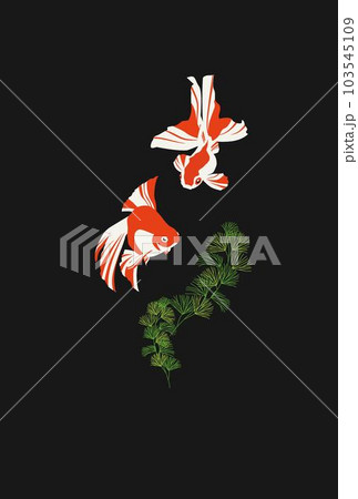 泳ぐ金魚と浮草に黒色の背景 103545109