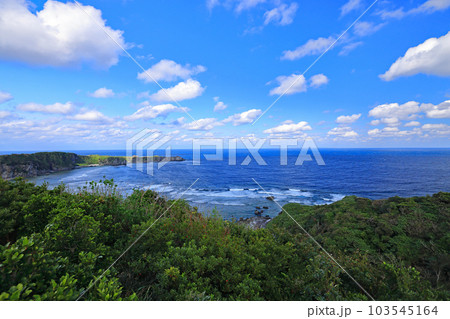 沖縄のヤンバルクイナ展望台周辺の風景 沖縄のヤンバルクイナ展望台周辺の風景 103545164