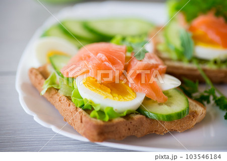 fried toast with lettuce, egg, cucumbers and red fish in a plate. fried toast with lettuce, egg, cucumbers and red fish in a plate. 103546184