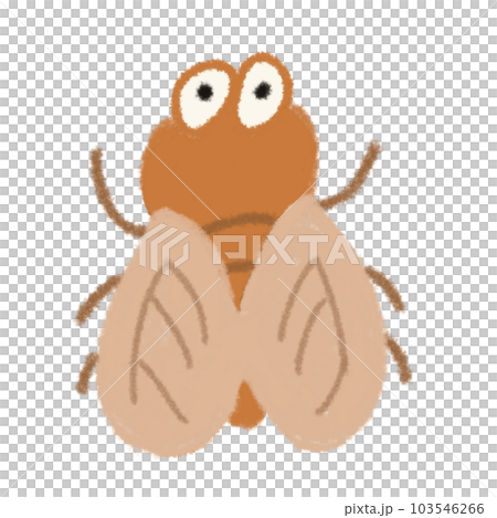 蟬鳴的插圖 蟬鳴的插圖 103546266